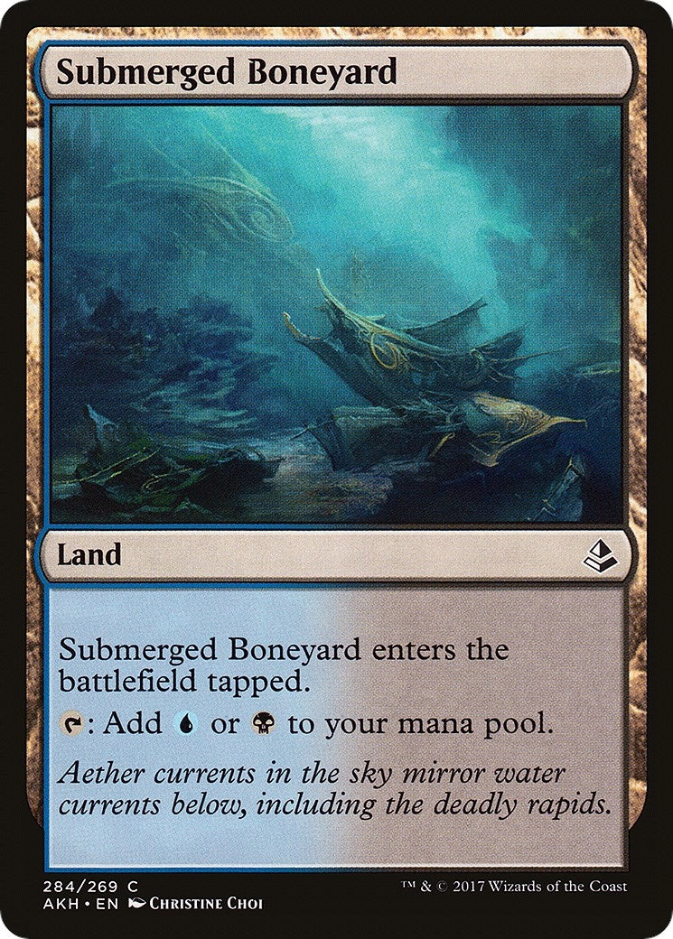 Submerged Boneyard (284) (AKH)