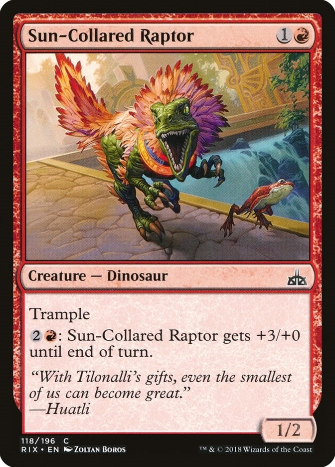 Sun-Collared Raptor (118) (RIX) Japanese