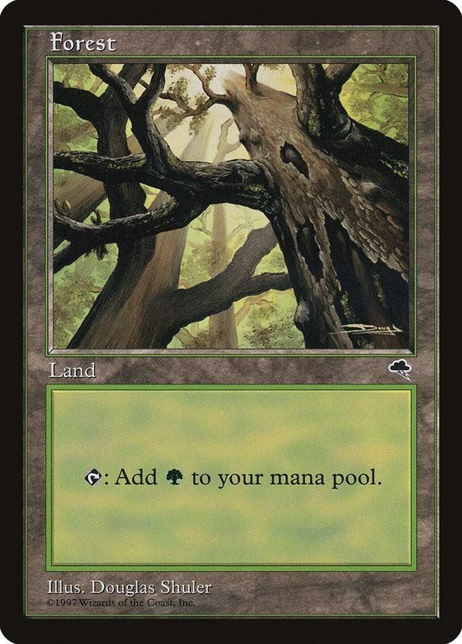 Image for Forest (Skyward) (347) (TMP) - Magic: The Gathering