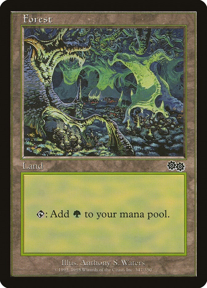 Image for Forest (347) (347) (USG) - Magic: The Gathering