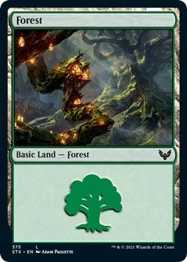 Forest (375) (375) (STX)