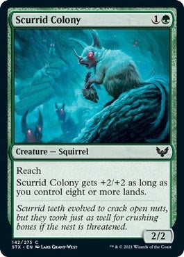 Scurrid Colony (142) (STX) Japanese