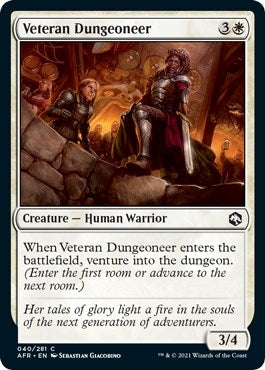 Veteran Dungeoneer (40) (AFR)