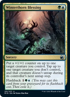 Winterthorn Blessing (251) (MID) Japanese