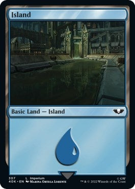Image for Island (307) (307) (40K) - Magic: The Gathering