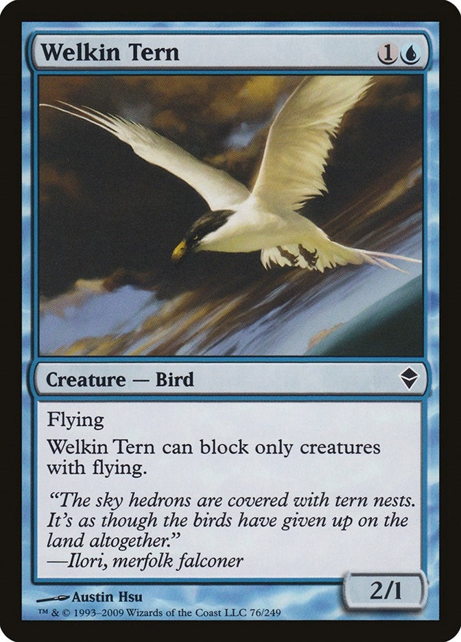 Welkin Tern (76) (ZEN)