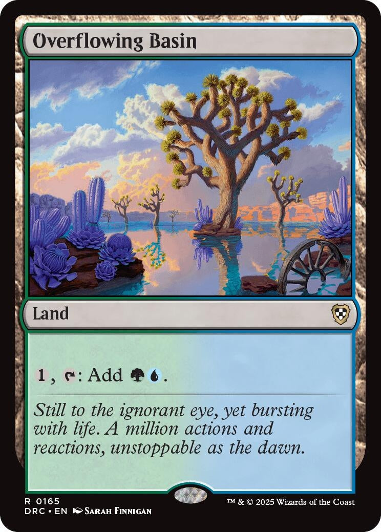 Image for Overflowing Basin (165) (DRC) - Magic: The Gathering
