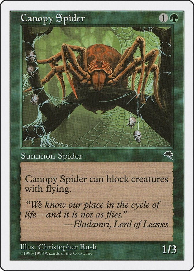 Image for Canopy Spider (ATH) - Magic: The Gathering