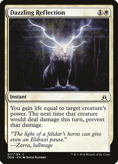 Dazzling Reflection (17) (OGW)