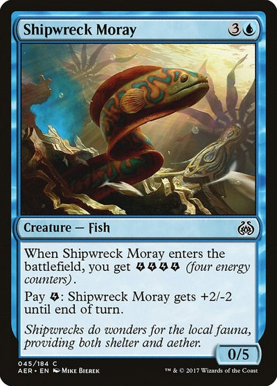 Shipwreck Moray (45) (AER)