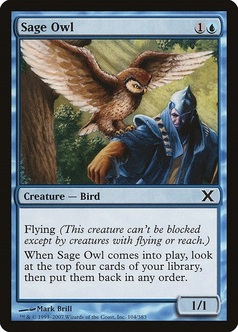 Image for Sage Owl (104) (10E) - Magic: The Gathering