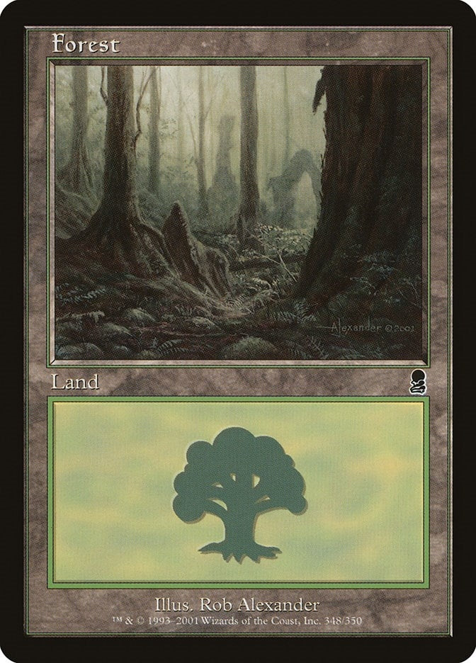 Image for Forest (348) (348) (ODY) - Magic: The Gathering