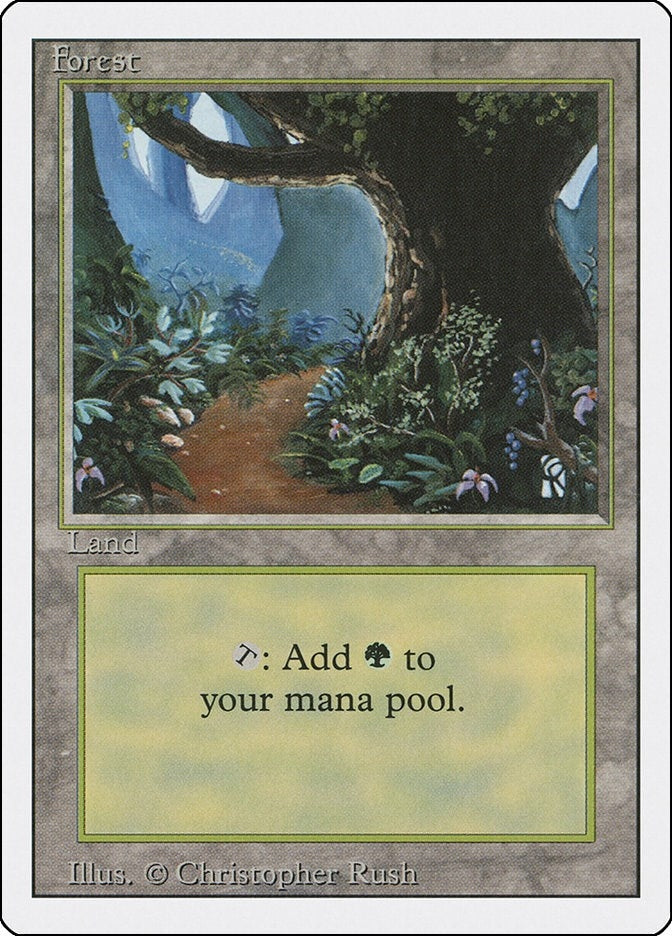 Image for Forest (B) (286) (3ED) - Magic: The Gathering