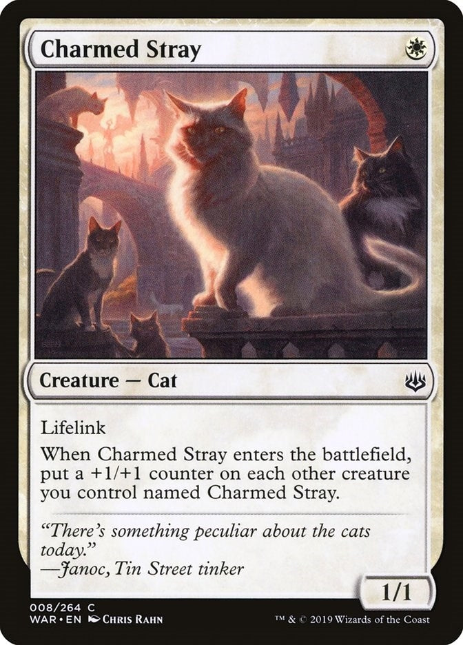 Charmed Stray (8) (WAR) Japanese