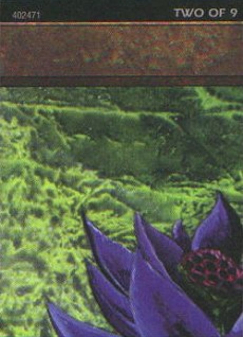Image for Black Lotus (2 of 9) (Ultra Pro Puzzle Quest) (1) (MEDIA) - Magic: The Gathering