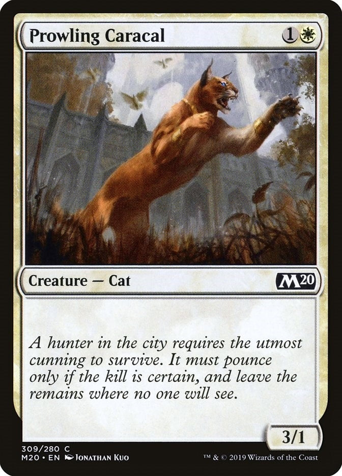 Prowling Caracal (309) (M20)