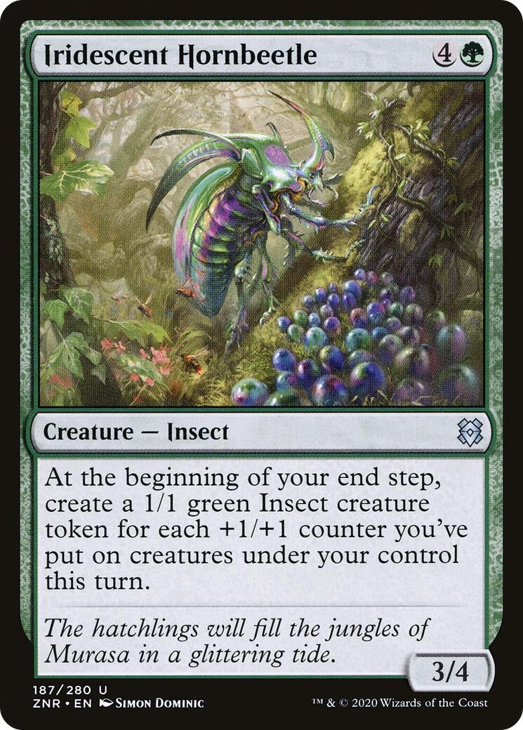 Iridescent Hornbeetle (187) (ZNR)