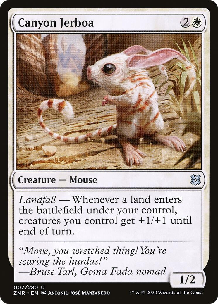 Canyon Jerboa (7) (ZNR)