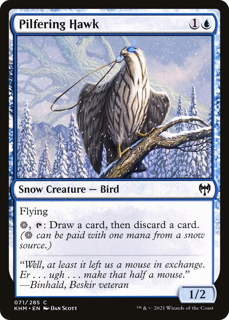 Pilfering Hawk (71) (KHM)