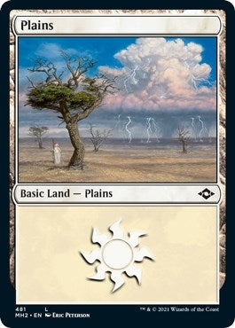 Plains (481) (Foil Etched) (481) (MH2)