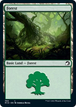 Image for Forest (384) (384) (MID) - Magic: The Gathering