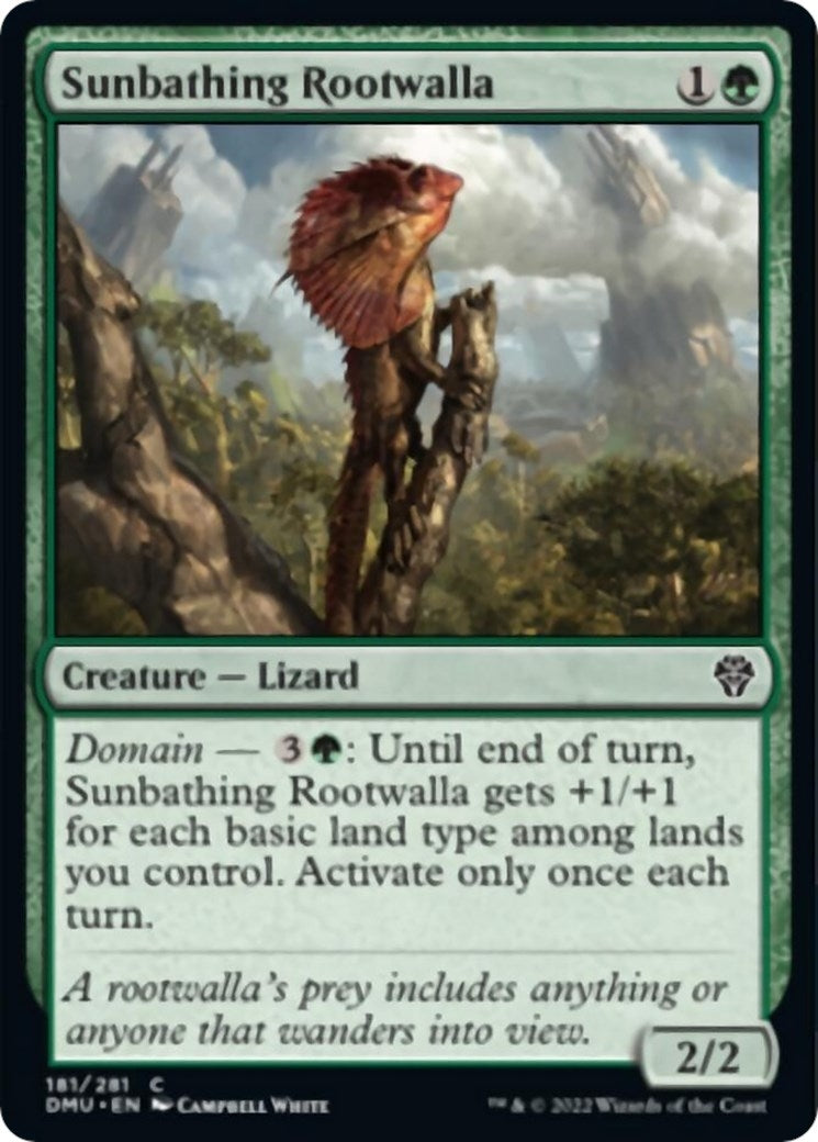 Sunbathing Rootwalla (181) (DMU)