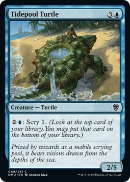 Tidepool Turtle (69) (DMU) Japanese