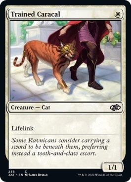 Image for Trained Caracal (256) (J22) - Magic: The Gathering