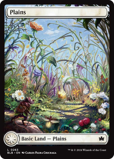 Plains (0263) (263) (BLB)