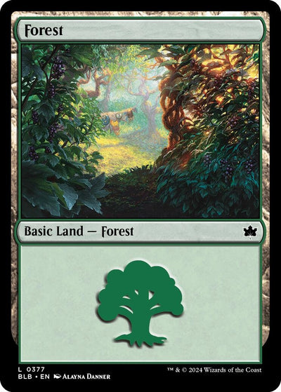 Forest (0377) (377) (BLB)