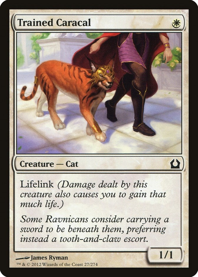 Trained Caracal (27) (RTR)